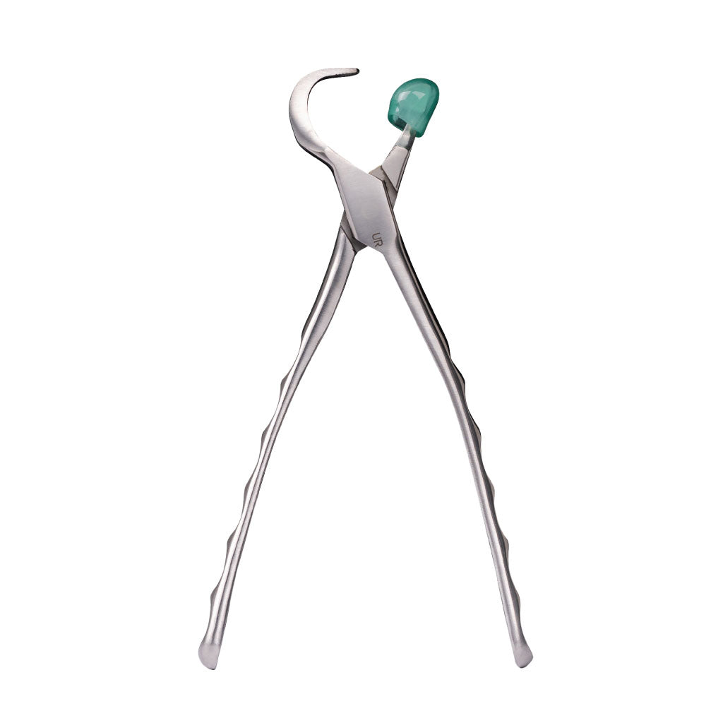 [HKIDEAS]Directa Physics Forceps Standard Series Upper Right GMX100 Each